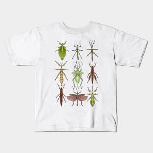 Stick insect Phasmatodea Pattern Kids T-Shirt